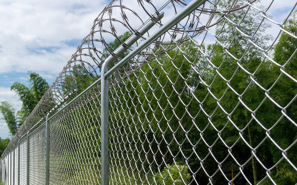 Servicios Calimallas 2